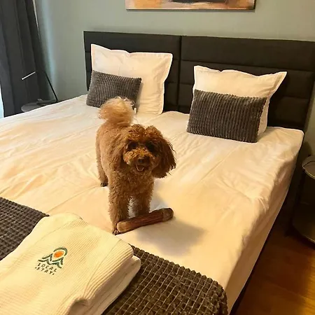 Local Hotel, Bw Signature Collection Hotel de apartamente Bansko