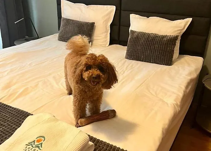 Local Hotel, Bw Signature Collection アパートホテル バンスコ